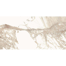 Calacatta Oro 60x120cm-