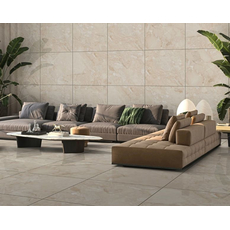 Berrys Beige 60x60cm, Dostupne boje: Beige, Dimenzija: 60x60-2