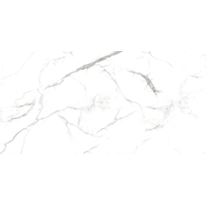Neo Oslo Carrara 60x120cm-