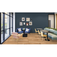 Oak Wood Matt 60x120cm-2