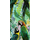 Paradise Parrot Decor-1 60x120cm, Dostupne boje: Parrot Decor 1, Dimenzija: 60x120-