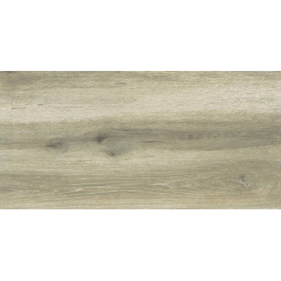 Forest Birch 30x60cm, Dostupne boje: Birch, Dimenzija: 30x60-6