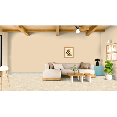 Arcides/Arena Bone 30x60cm, Dostupne boje: Bone, Dimenzija: 30x60-2