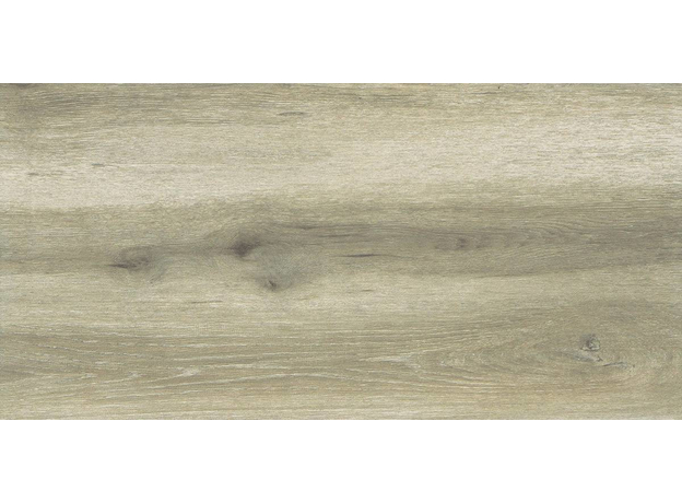 Forest Birch 30x60cm, Dostupne boje: Birch, Dimenzija: 30x60-6