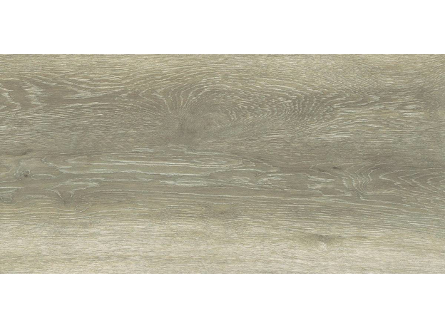 Forest Birch 30x60cm, Dostupne boje: Birch, Dimenzija: 30x60-