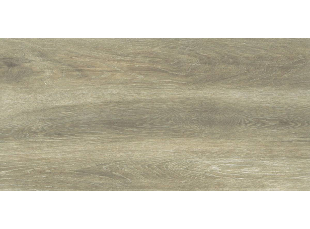 Forest Birch 30x60cm, Dostupne boje: Birch, Dimenzija: 30x60-4