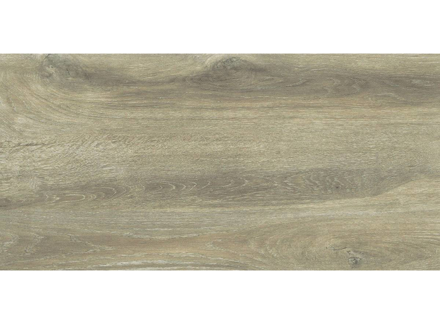 Forest Birch 30x60cm, Dostupne boje: Birch, Dimenzija: 30x60-5