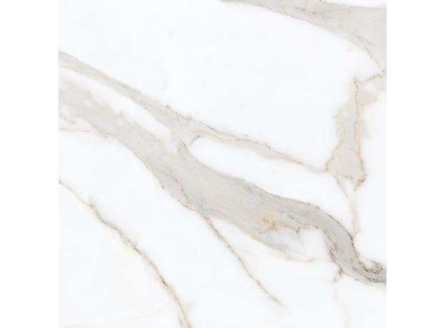 Calacuta Mecchia Gold 60x60cm-9