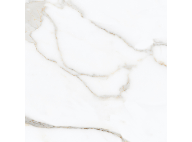 Calacuta Mecchia Gold 60x60cm-6