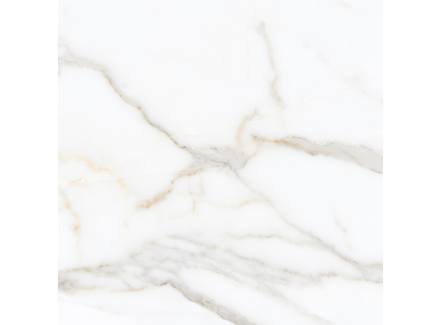 Calacuta Mecchia Gold 60x60cm-8