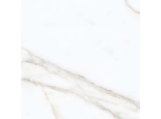 Calacuta Mecchia Gold 60x60cm-5