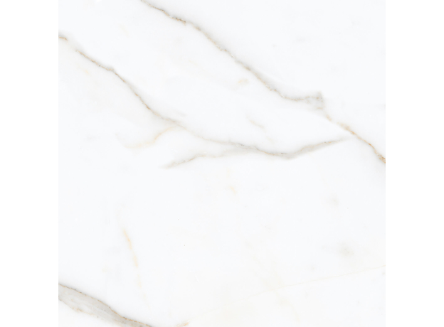 Calacuta Mecchia Gold 60x60cm-3