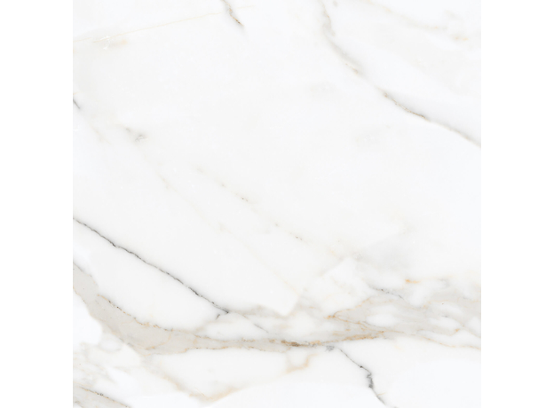 Calacuta Mecchia Gold 60x60cm-4