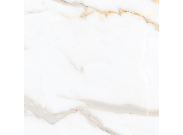 Calacuta Mecchia Gold 60x60cm-