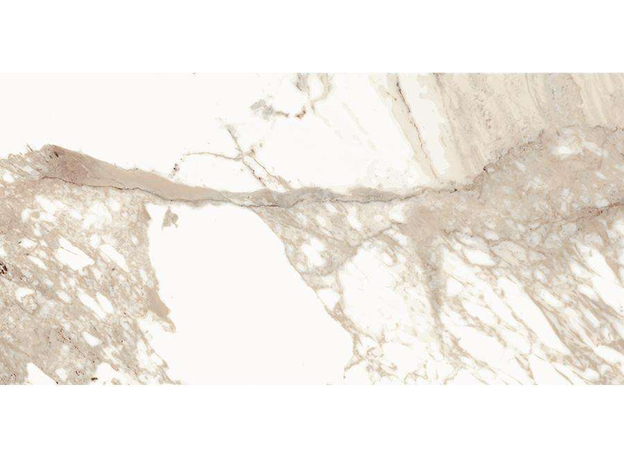 Calacatta Oro 60x120cm-