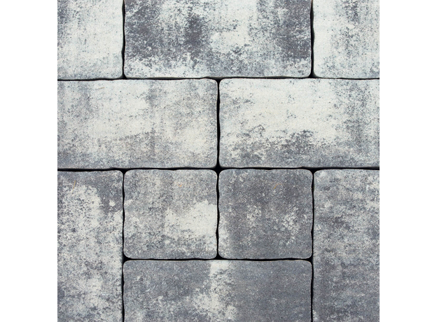 Venetia Sivo-crno-belo prošarano-