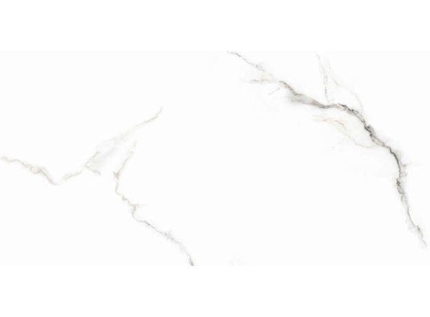 Leodikya Grey 60x120cm-