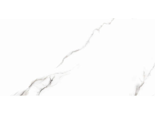 Leodikya Grey 60x120cm-3