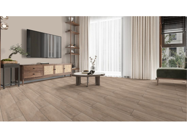 Graphite Brown 20x120cm, Dostupne boje: Brown, Dimenzija: 20x120-2