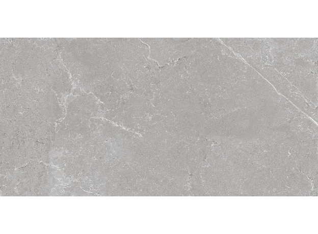 Tropic Silver 60x120cm, Dostupne boje: Silver, Dimenzija: 60x120-5