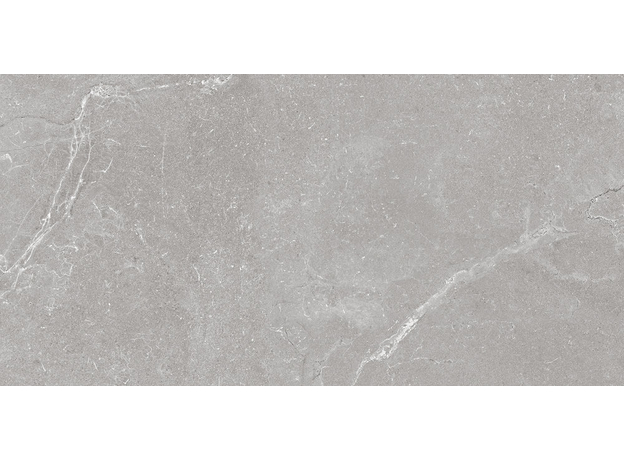 Tropic Silver 60x120cm, Dostupne boje: Silver, Dimenzija: 60x120-6