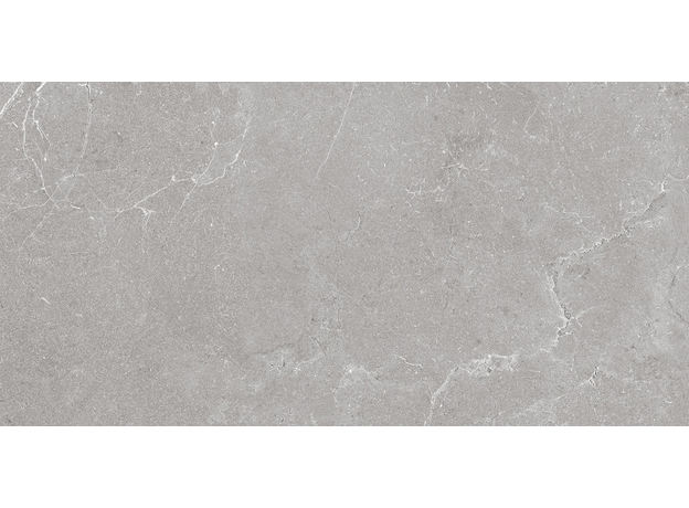 Tropic Silver 60x120cm, Dostupne boje: Silver, Dimenzija: 60x120-7