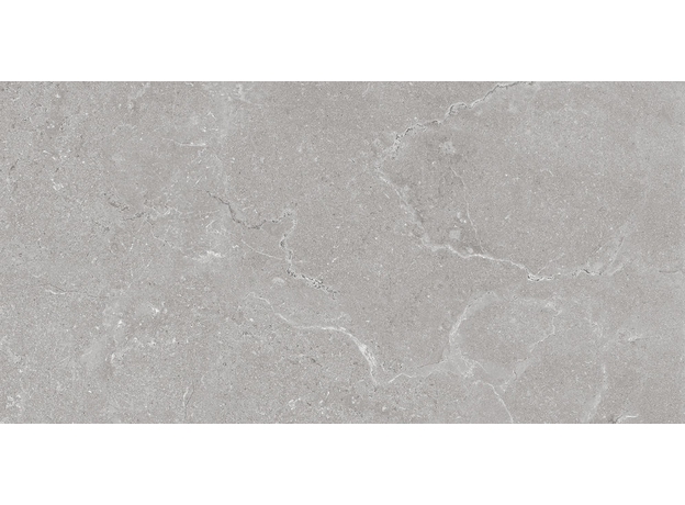 Tropic Silver 60x120cm, Dostupne boje: Silver, Dimenzija: 60x120-