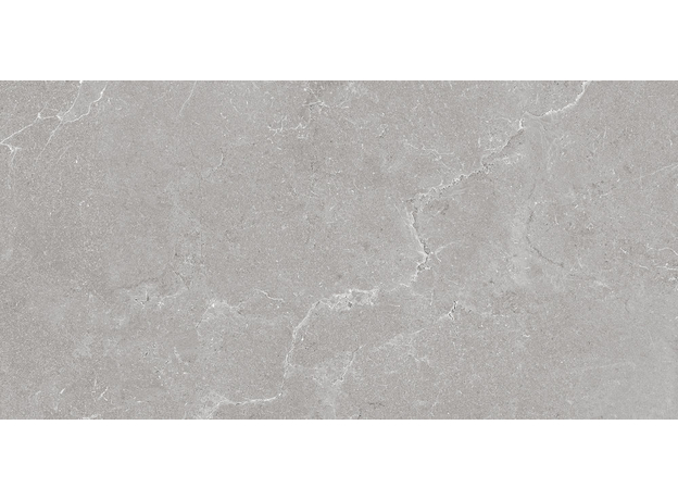 Tropic Silver 60x120cm, Dostupne boje: Silver, Dimenzija: 60x120-3