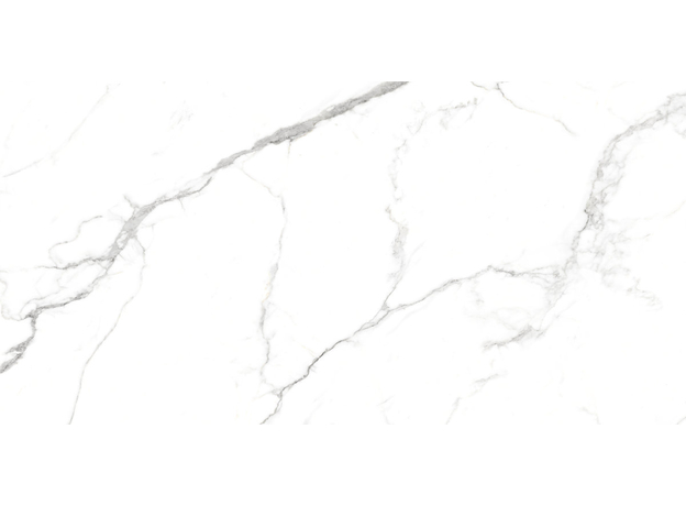 Neo Oslo Carrara 60x120cm-4