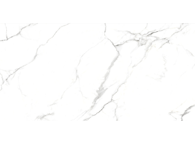 Neo Oslo Carrara 60x120cm-6