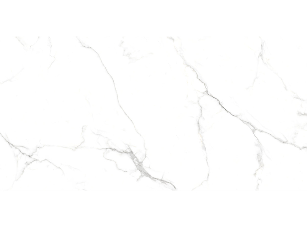 Neo Oslo Carrara 60x120cm-7