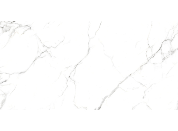 Neo Oslo Carrara 60x120cm-8