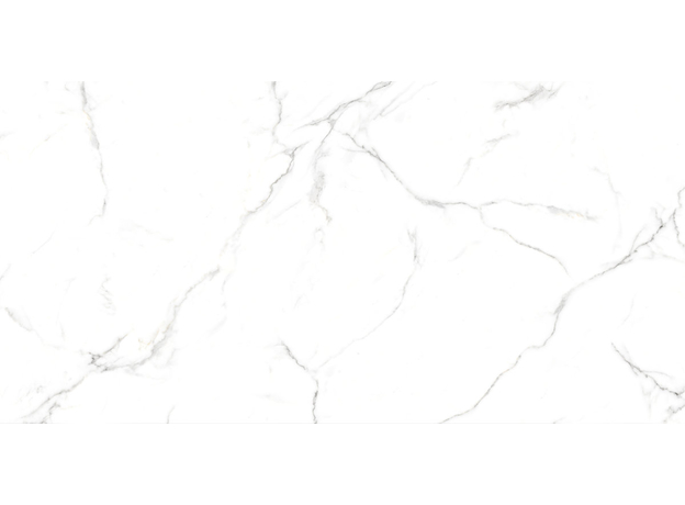 Neo Oslo Carrara 60x120cm-9