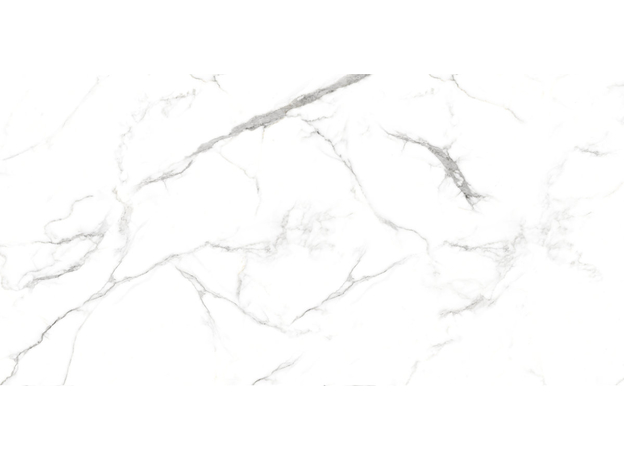 Neo Oslo Carrara 60x120cm-