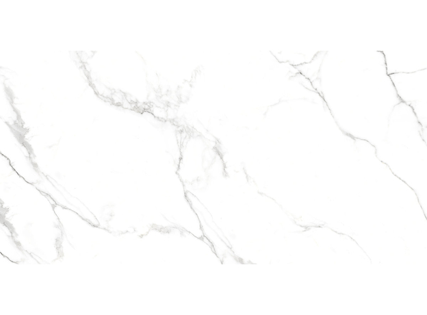Neo Oslo Carrara 60x120cm-3