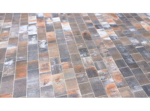 Domino bakarno siva-3