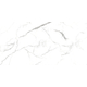 Neo Oslo Carrara 60x120cm-